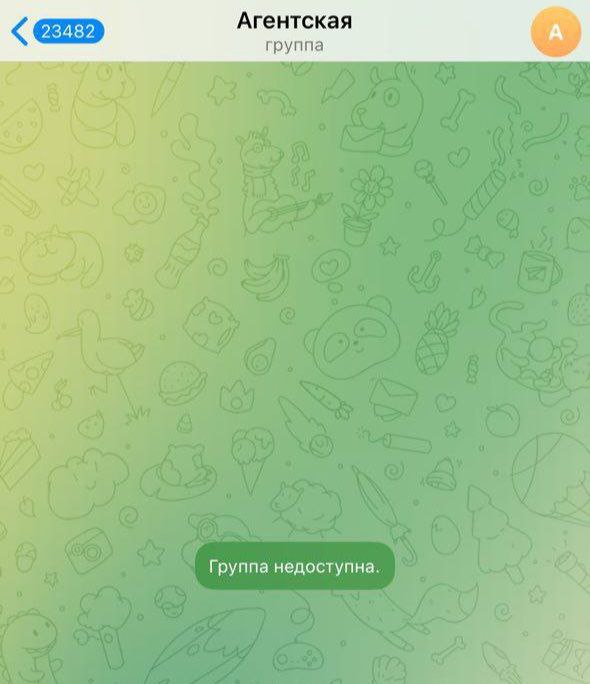 Обложка статьи «Иноагента» Эльвиру Вихареву исключили из чата «иноагентов» после жалобы на травму в ДТП