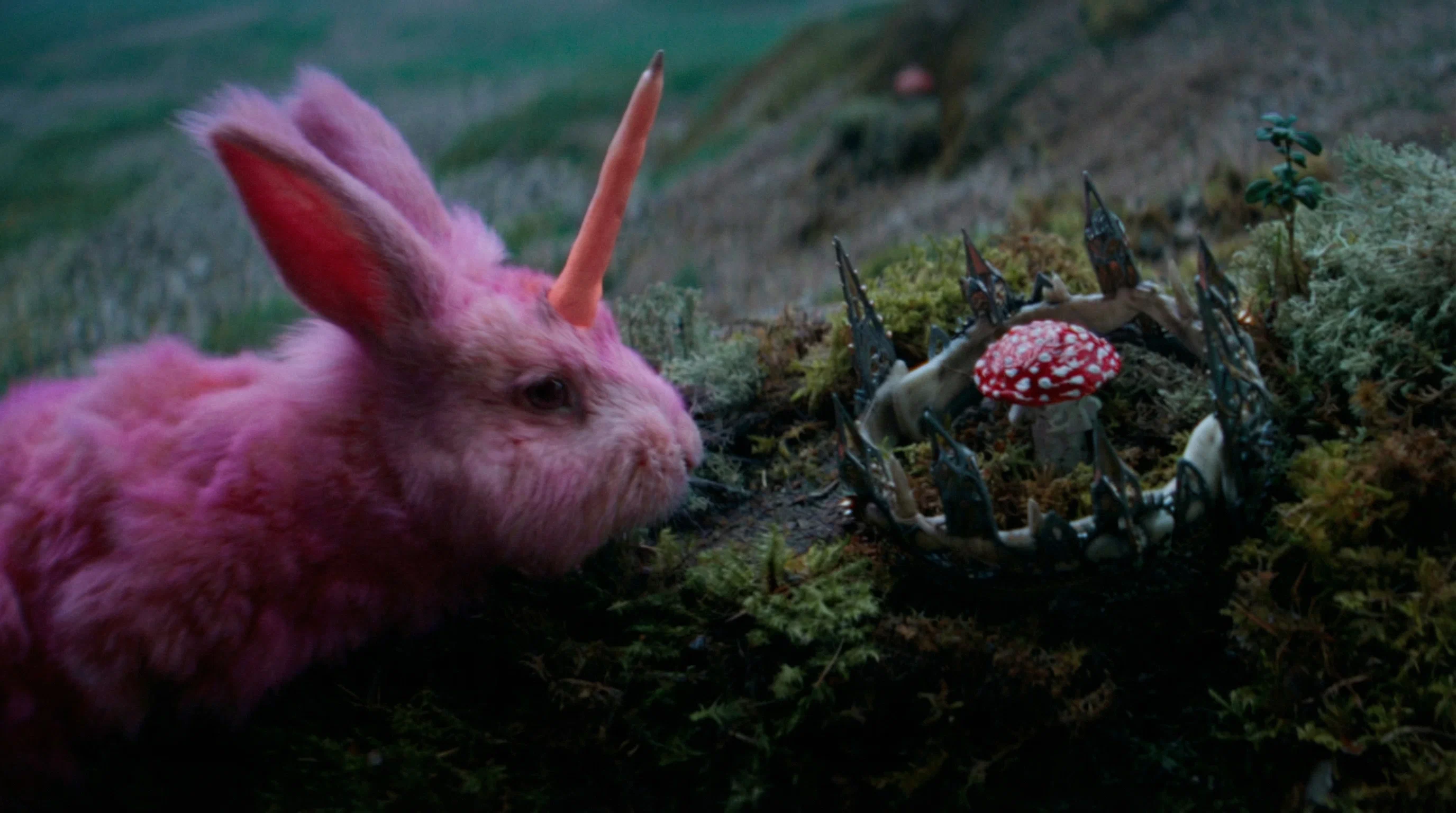 Кадр из фильма «Король и Шут. Навсегда»
kinopoisk.ru